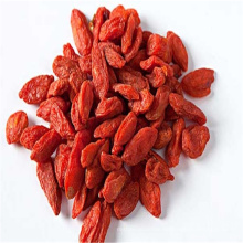 Chinesische getrocknete Frucht Acazid Goji-Beere